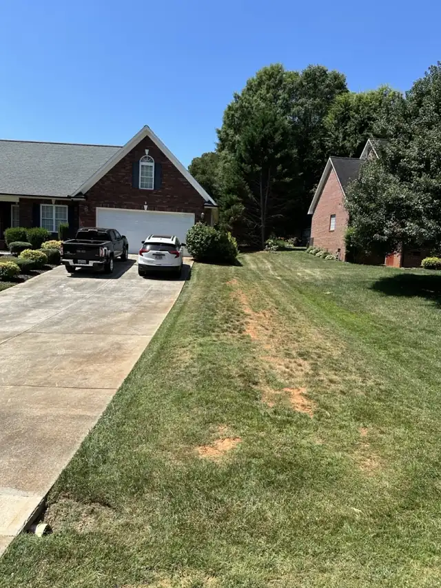 Mowed lawn along a driveway
