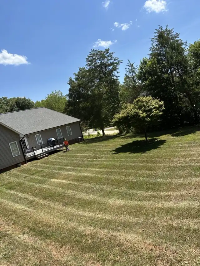 Mowed lawn and landscaped yard at a Lincolnton-area home