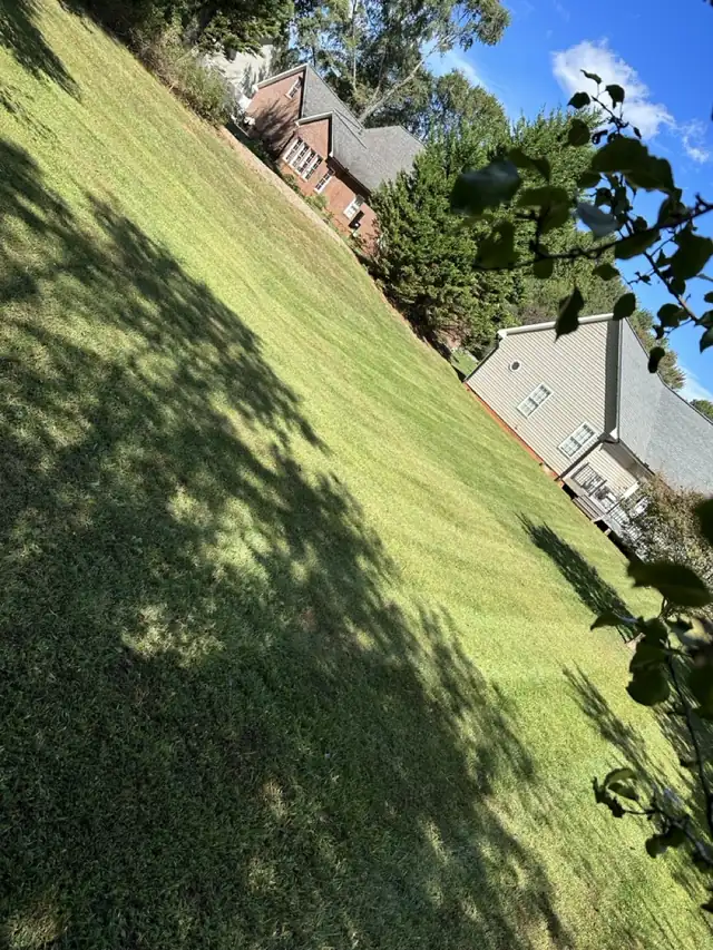 Freshly mowed sloped yard