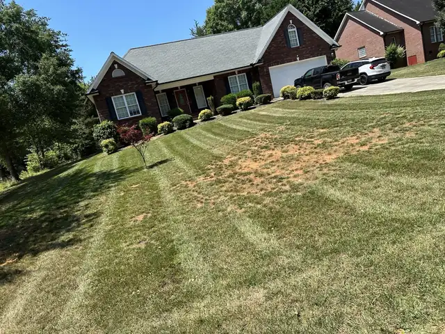 Striped, freshly cut front lawn maintained by Tiny Trail Landscaping