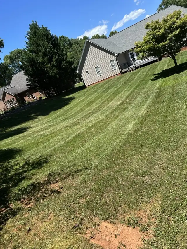 Striped side yard after mowing