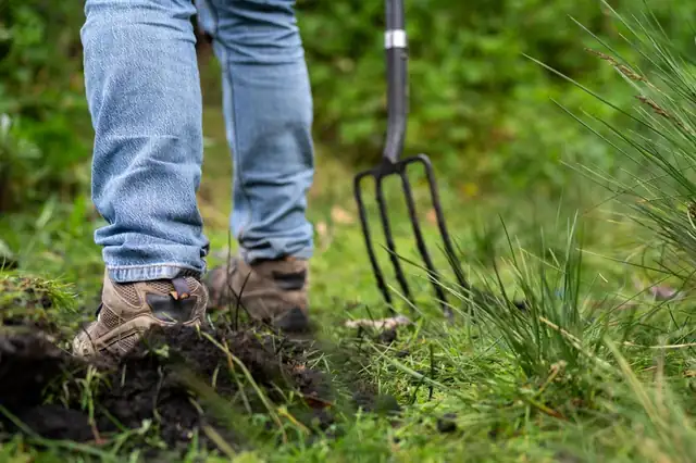 Hands holding healthy soil