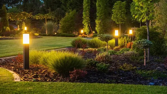 Backyard with modern outdoor LED lighting