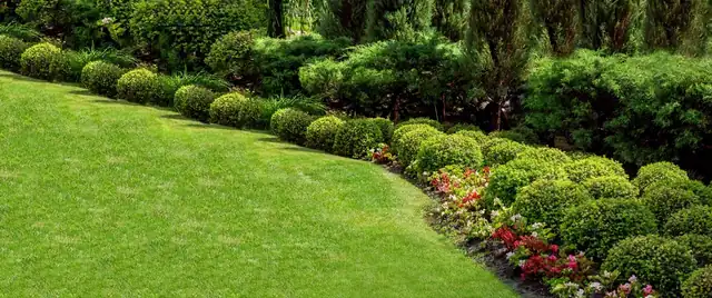 Well-maintained garden with a bed of green shrubs and a lawn
