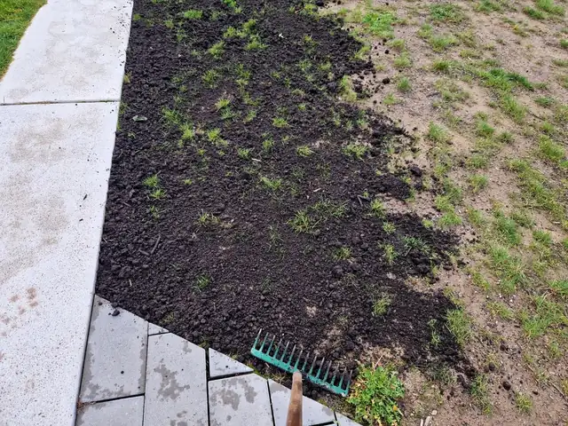 Soil being spread and raked over a lawn for top dressing